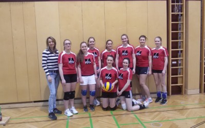 Volleyball Bezirksmeisterschaft