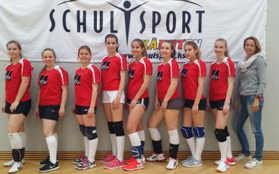 Volleyball Landesmeisterschaft 2017