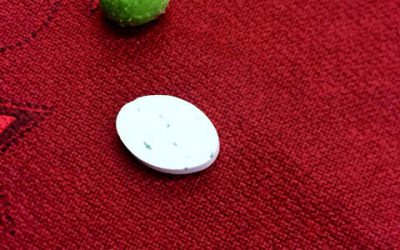 Sinnesschulung mit Ernährungsexpertin