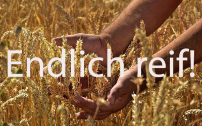 Reife- und Diplomprüfung erfolgreich absolviert